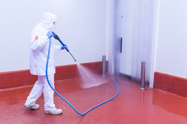 Best Driveway Pressure Washing  in Lakeside Park, KY
